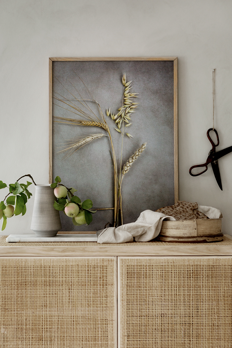 Four Crops - Grain - Poster 50x70 cm - Photo Art - 3