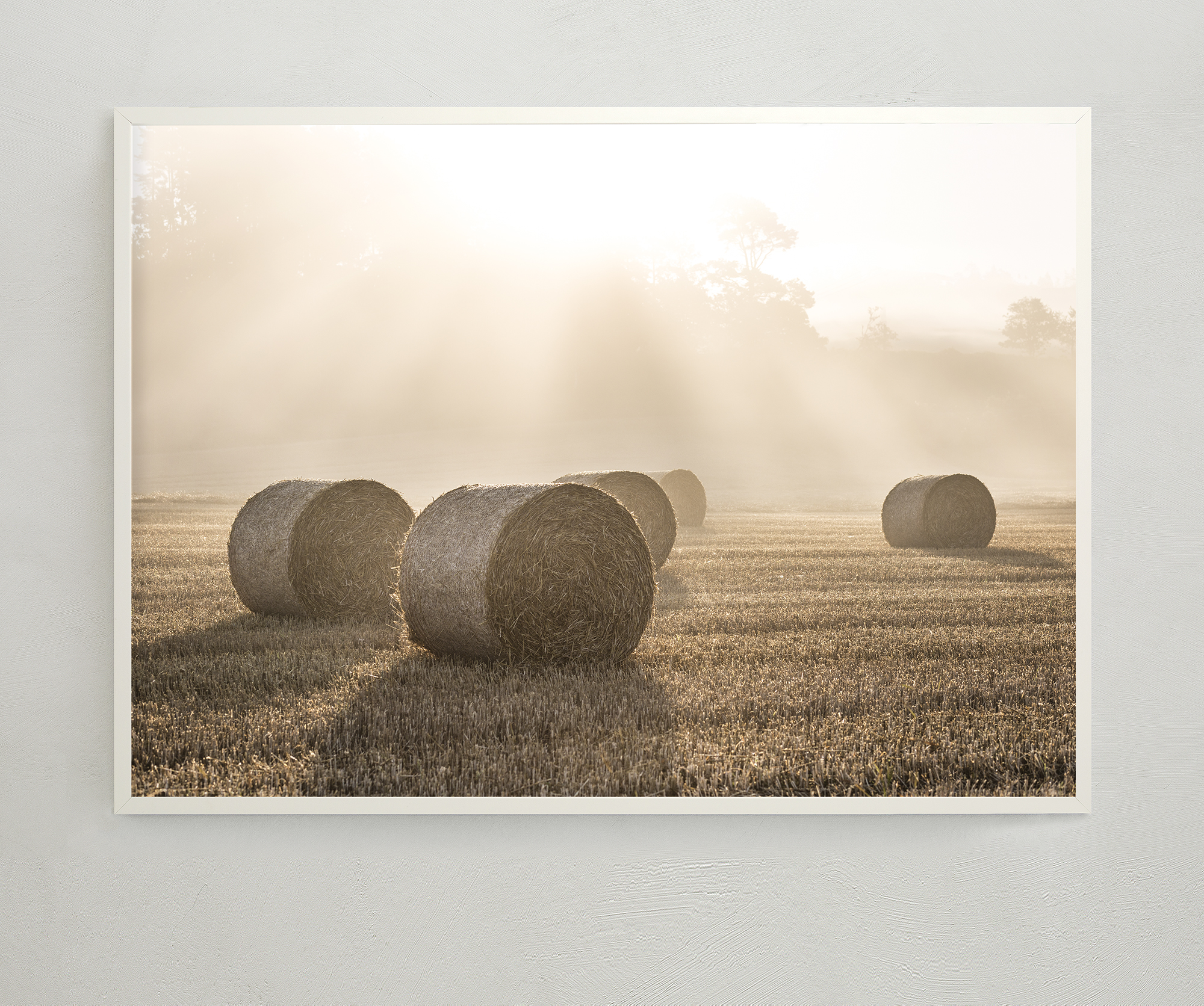 Hay bales in a field - Poster 50x70 cm - Photo art - 2