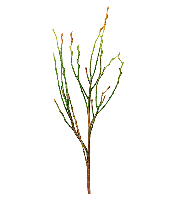Twig - Blueberry branch - 35 cm - 2