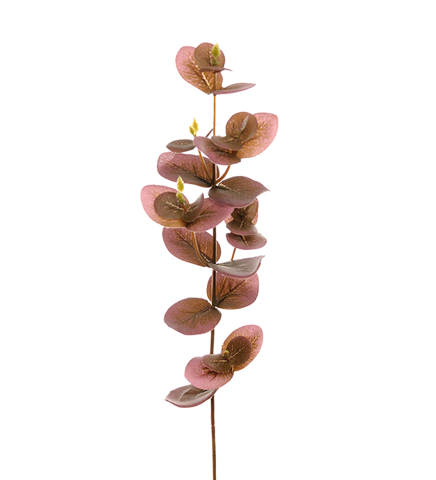 Eucalyptus - Purple - 40 cm - 2