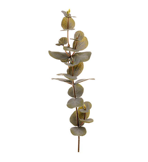 Eucalyptus - Green - 40 cm - 2