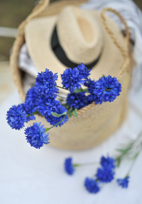 Bluebell - 65 cm - 2