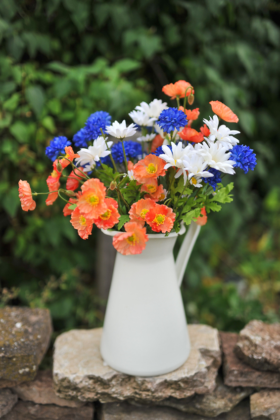 Bluebell - 65 cm - 7