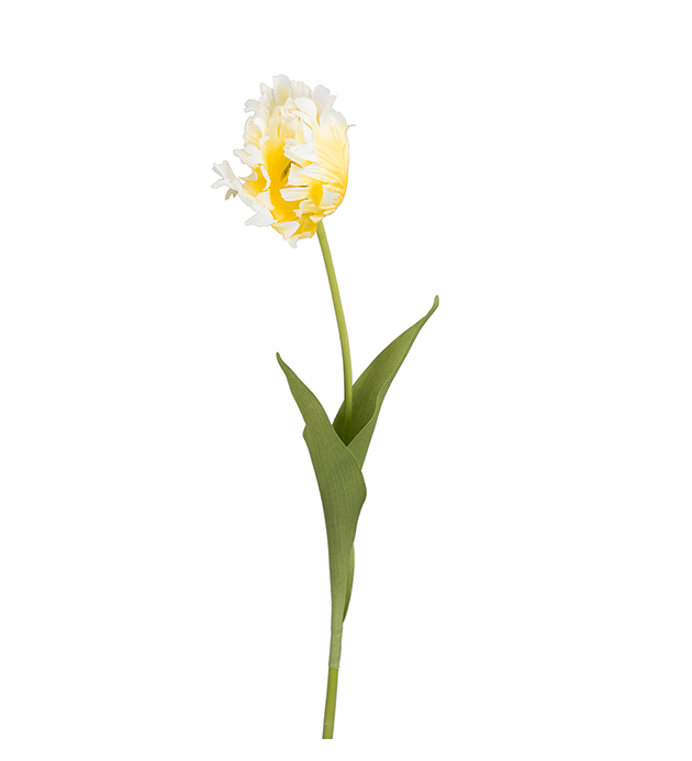 Tulip - 70 cm - Easter Princess - 3