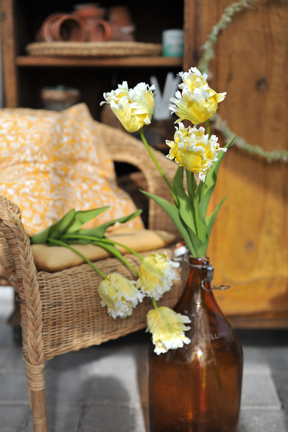 Tulip - 70 cm - Easter Princess - 2