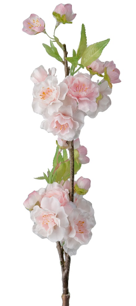 KÖRSBÄRSBLOM/KÖRSBÄRSKVIST ROSA 45 CM - 4