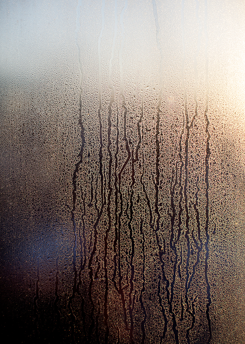 Morgondagg - Poster 70x100 cm - Fotokonst - 3