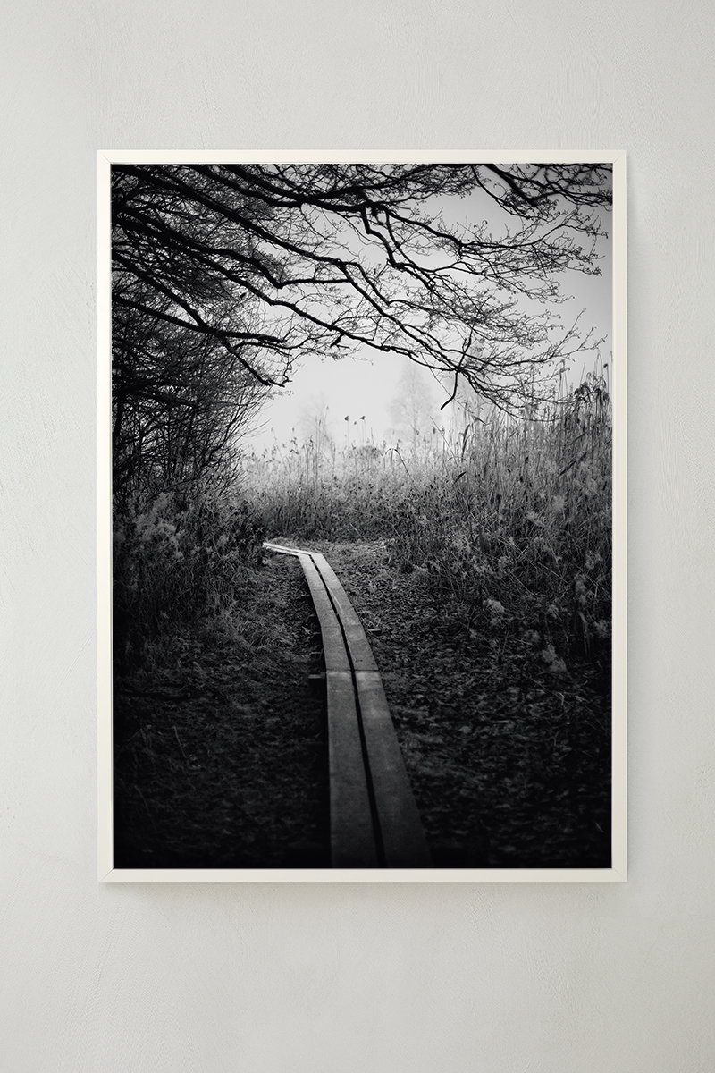 Morgonpromenad - Poster 50x70 cm - Fotokonst - 2