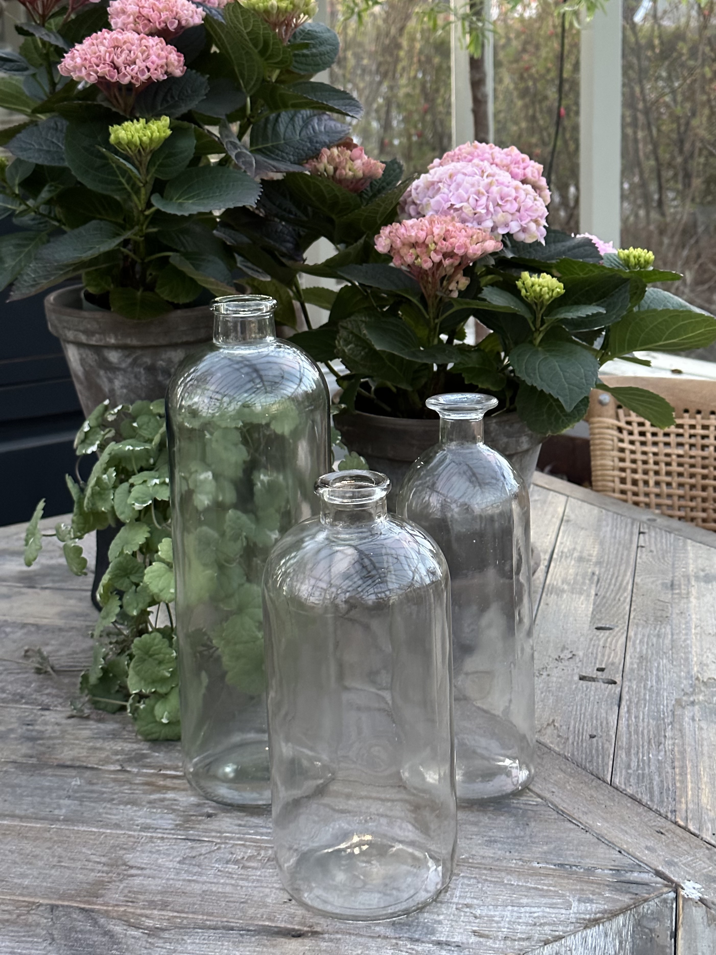 Glasflaska - Flaska - Butelj - Klar - 31,5 cm