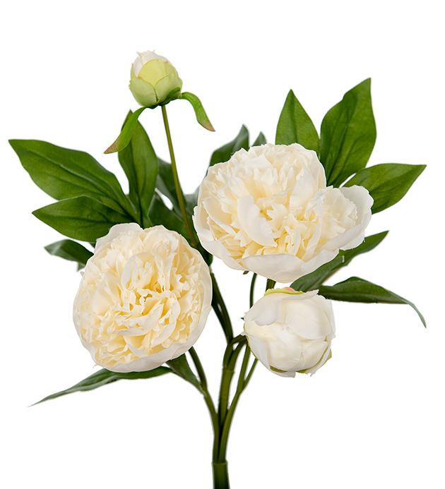 Peony - Peony bouquet - White - 40 cm