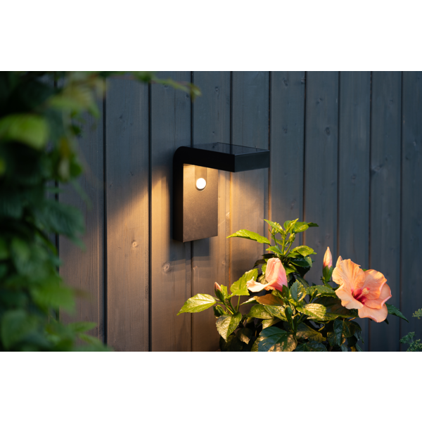Solar-powered wall lantern Vici - 4