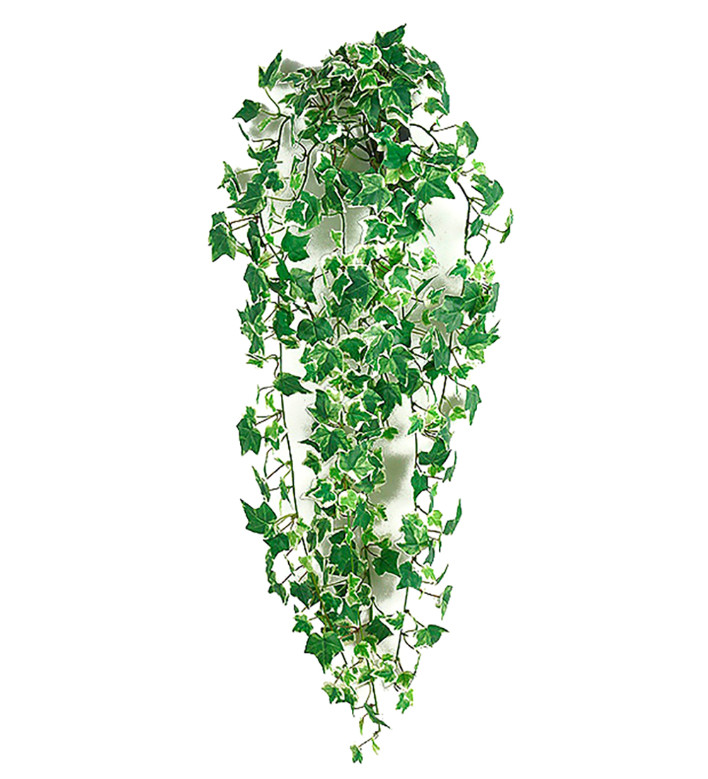 Hanging Ivy - 70 cm - 2