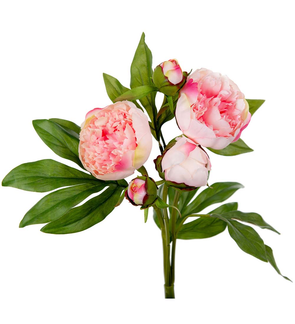 Peony - Peony bouquet - Pink - 40 cm