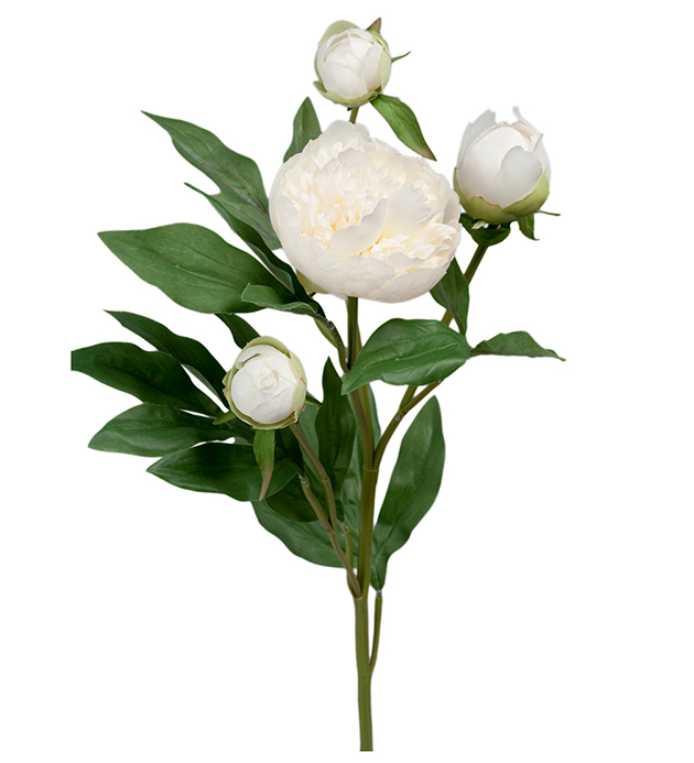 Peony - 65 cm