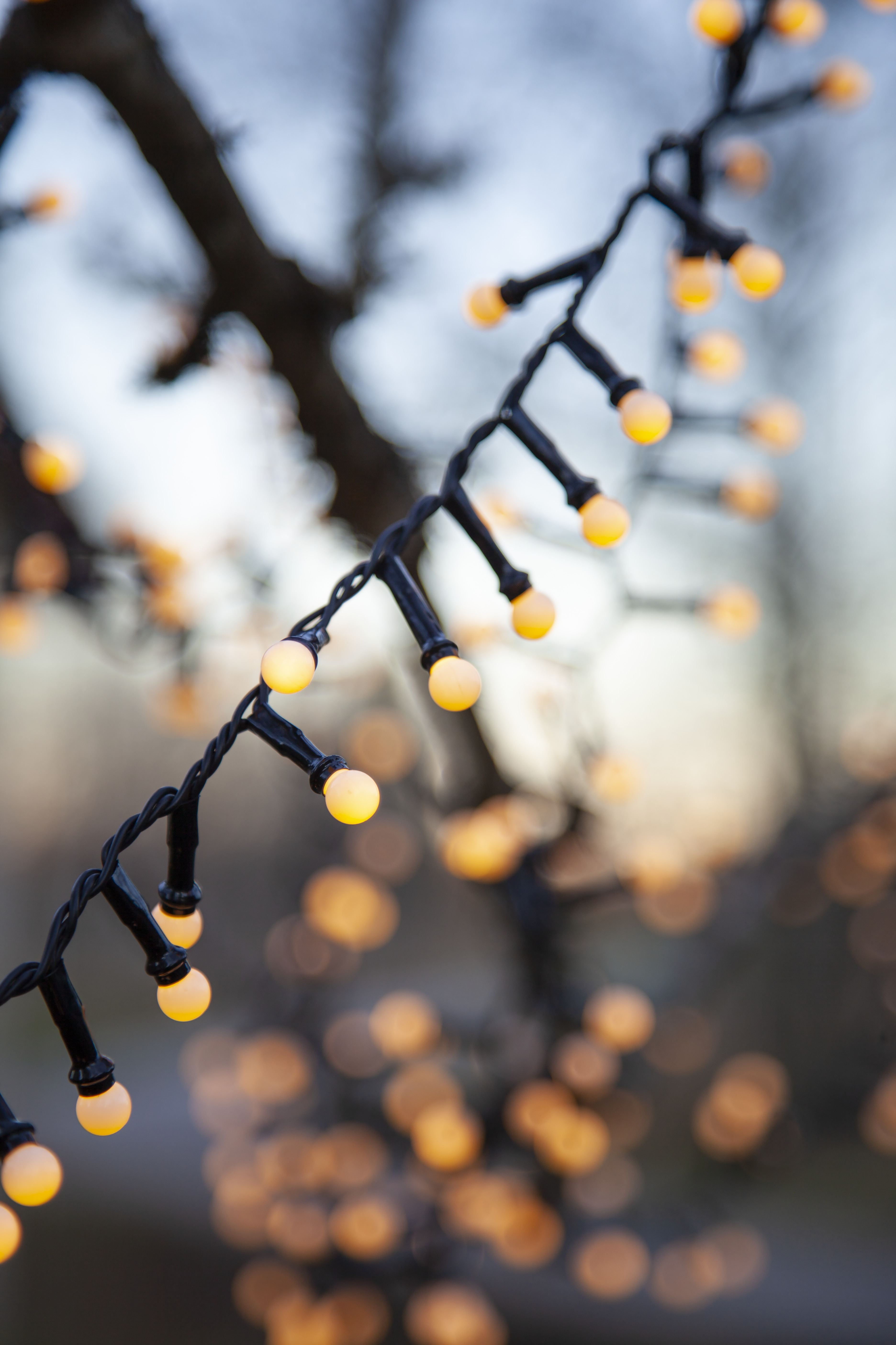 String lights with 700 warm white lights - 7