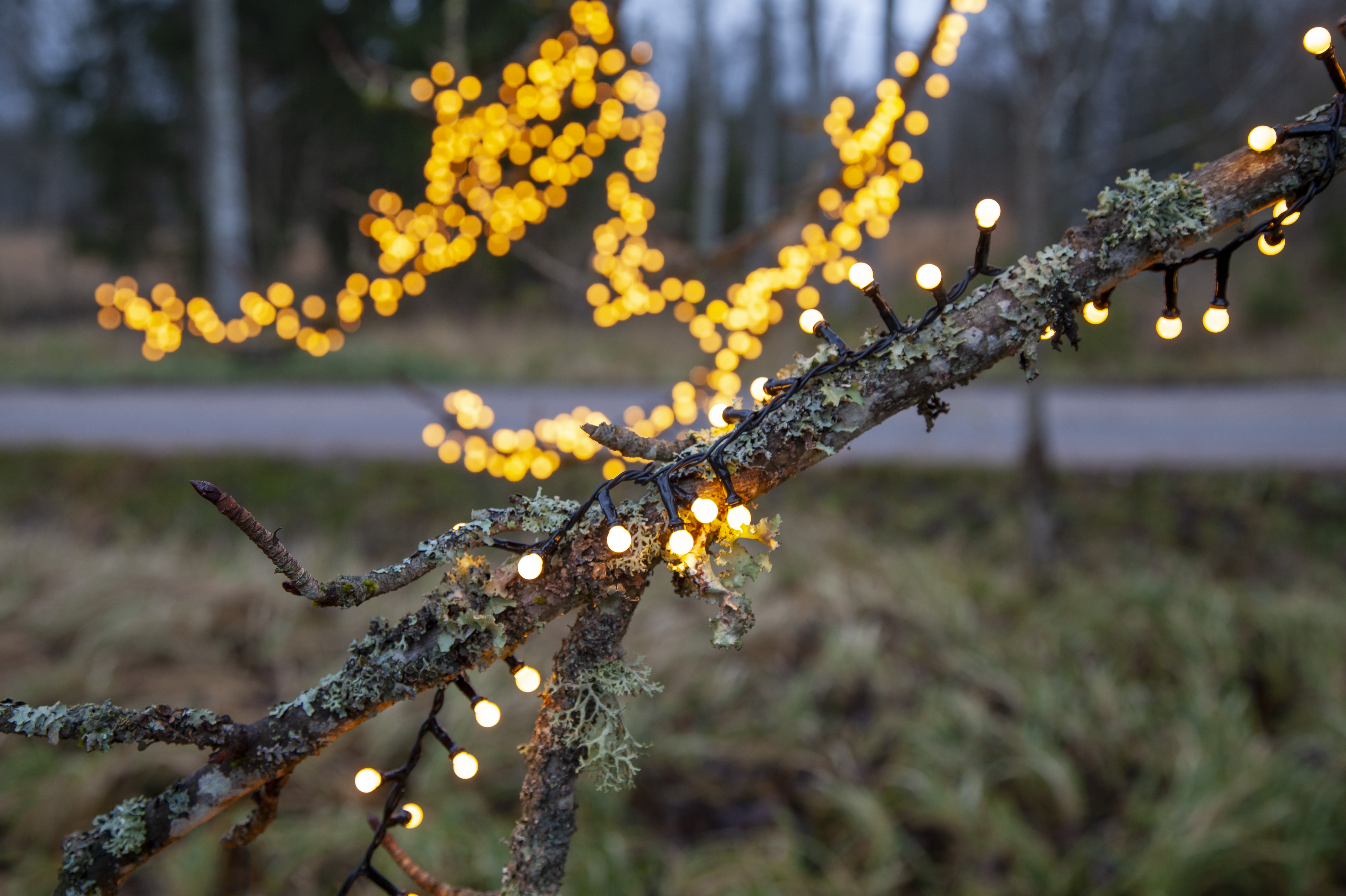 String lights with 700 warm white lights - 5