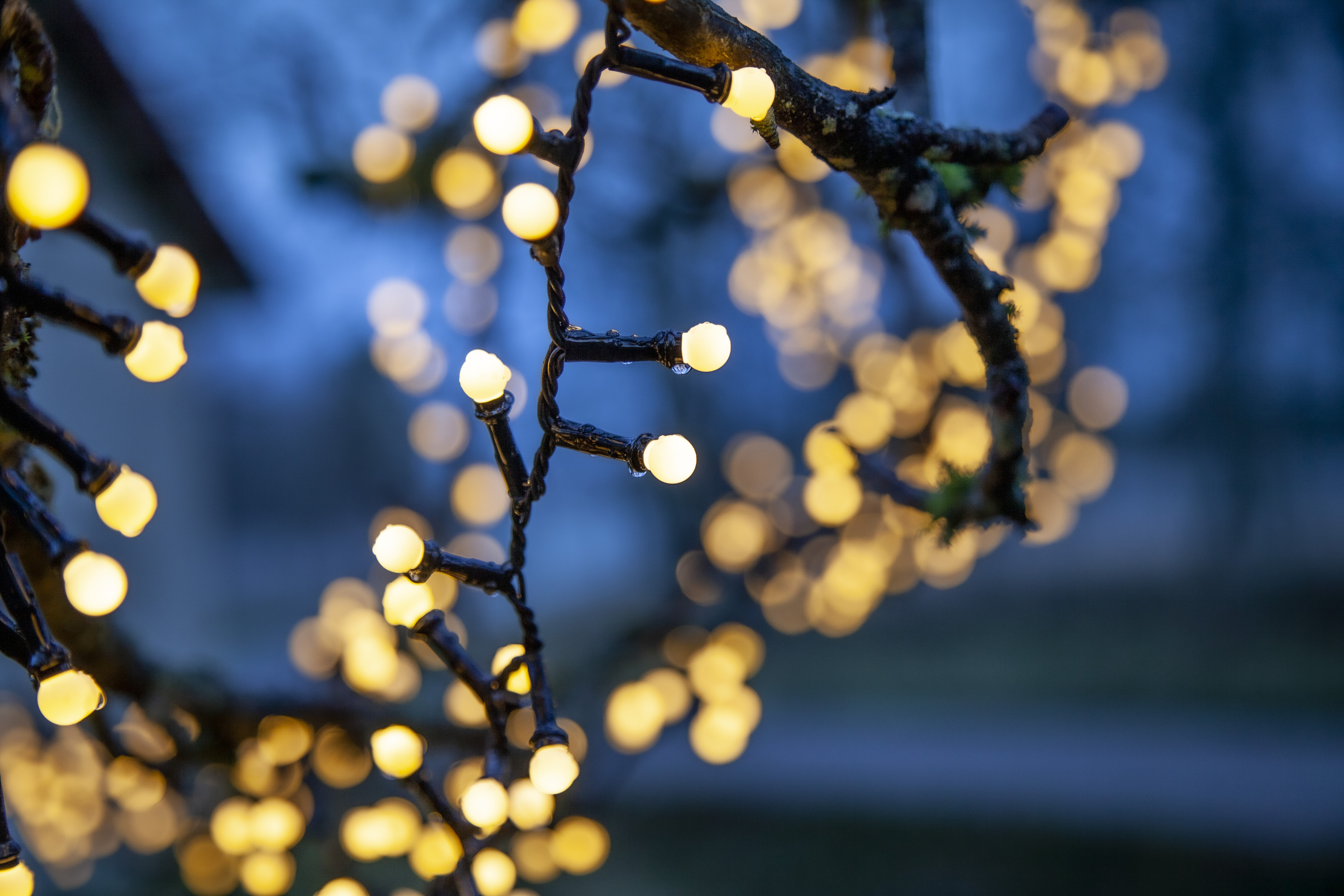String lights with 700 warm white lights - 2