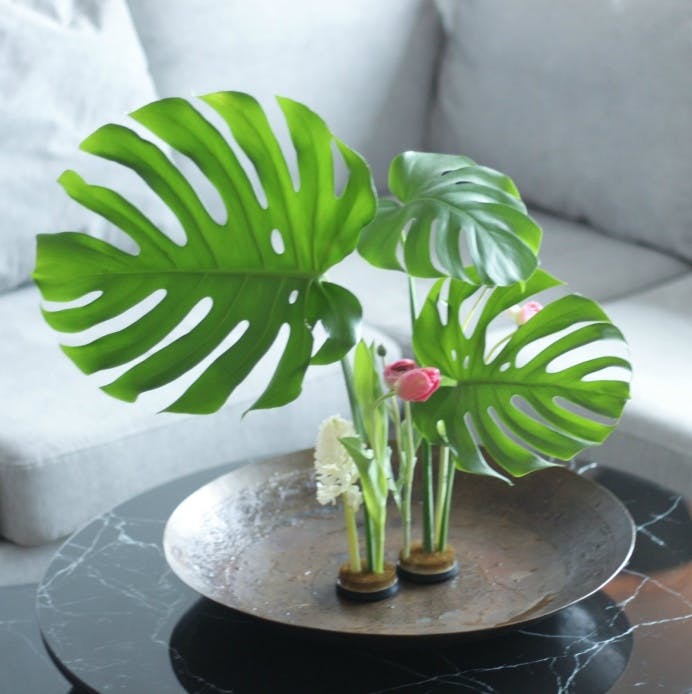 Flower Fakir - Fakir - Kenzan - Small - 17