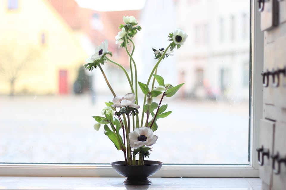 Flower Fakir - Fakir - Kenzan - Small - 13
