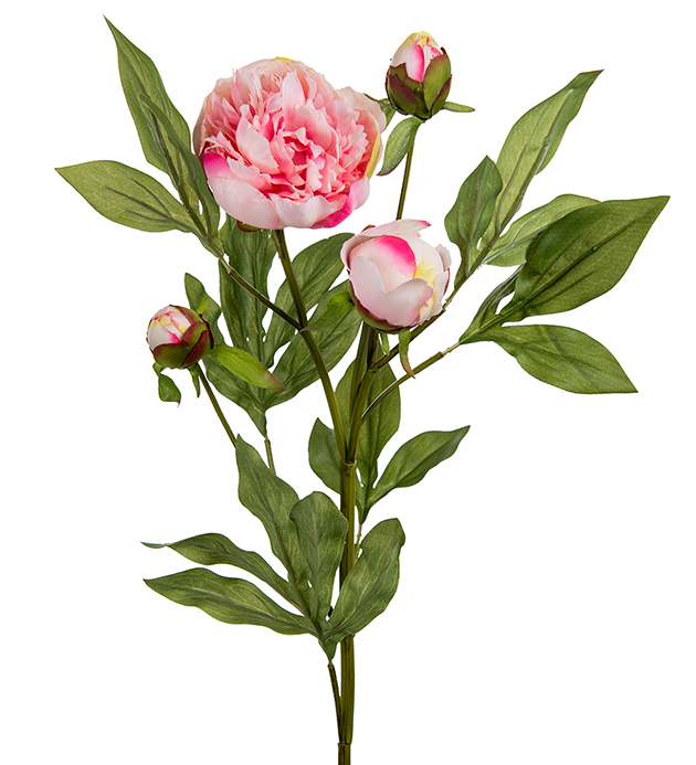 Peony - Pink - 65 cm