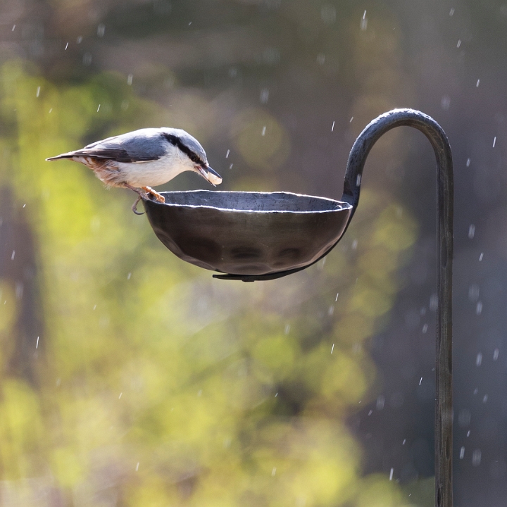Marshall holder - Candlestick - Candle holder - Bird feeder - Large - 2