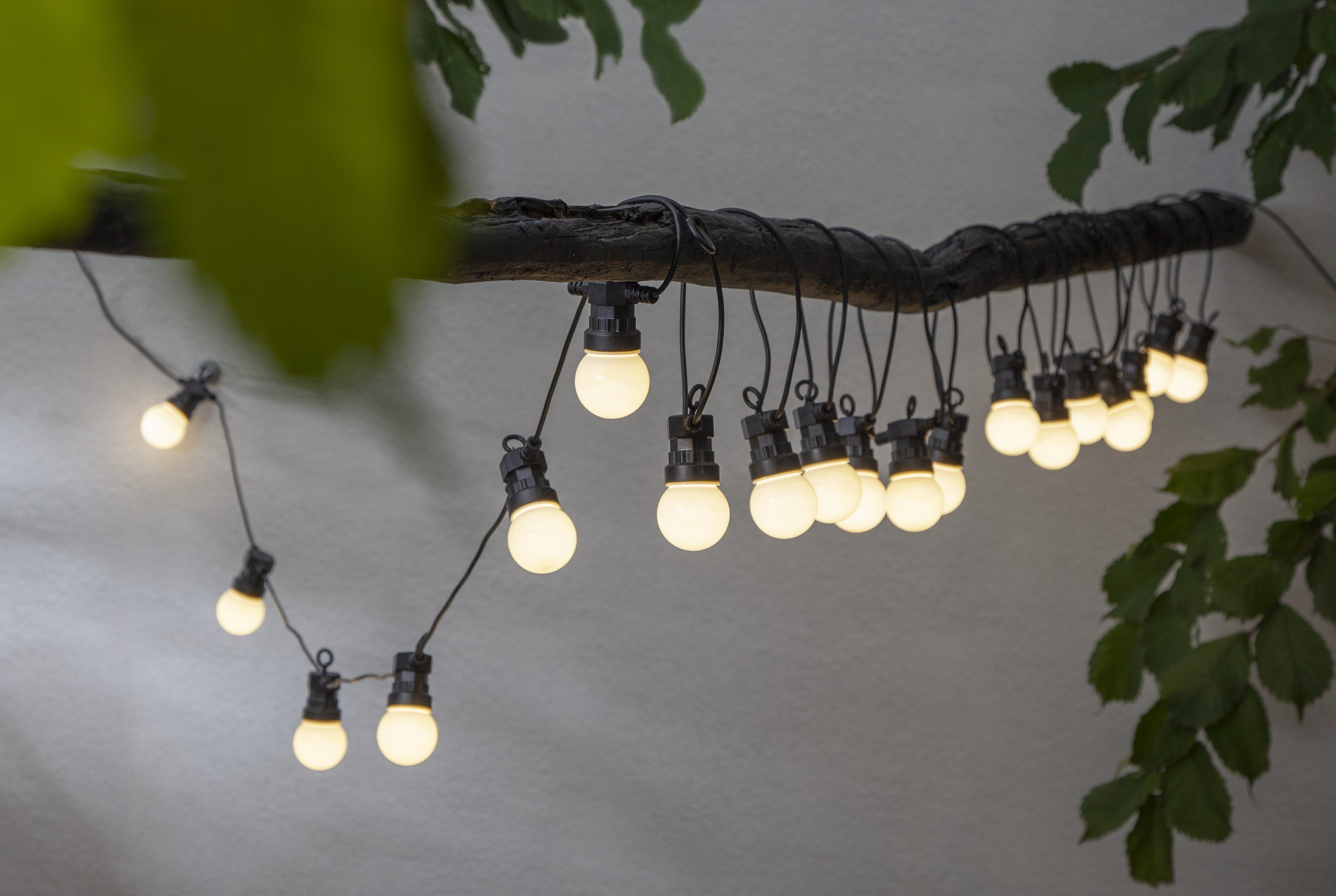 String lights Small Circus - 4