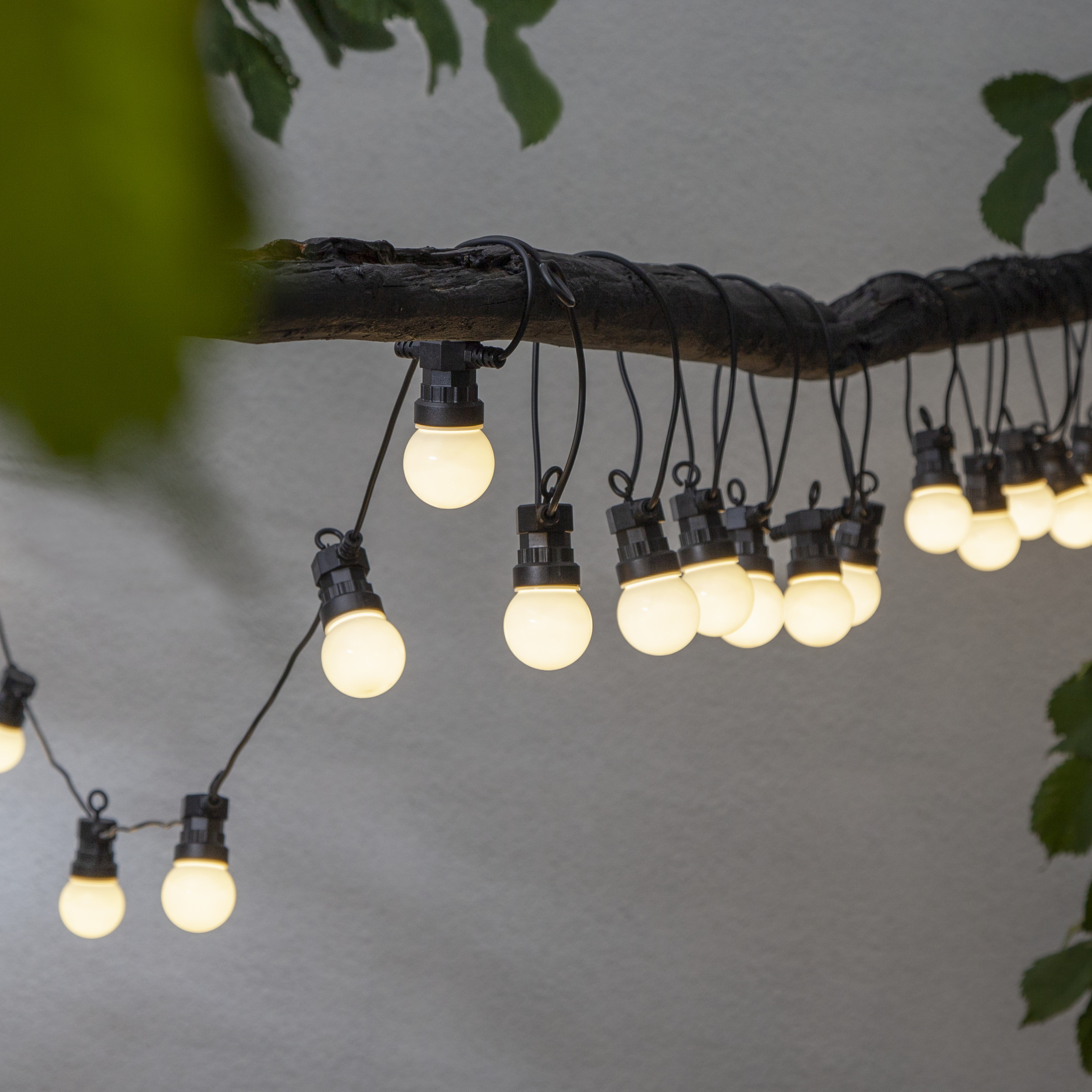 String lights Small Circus - 2