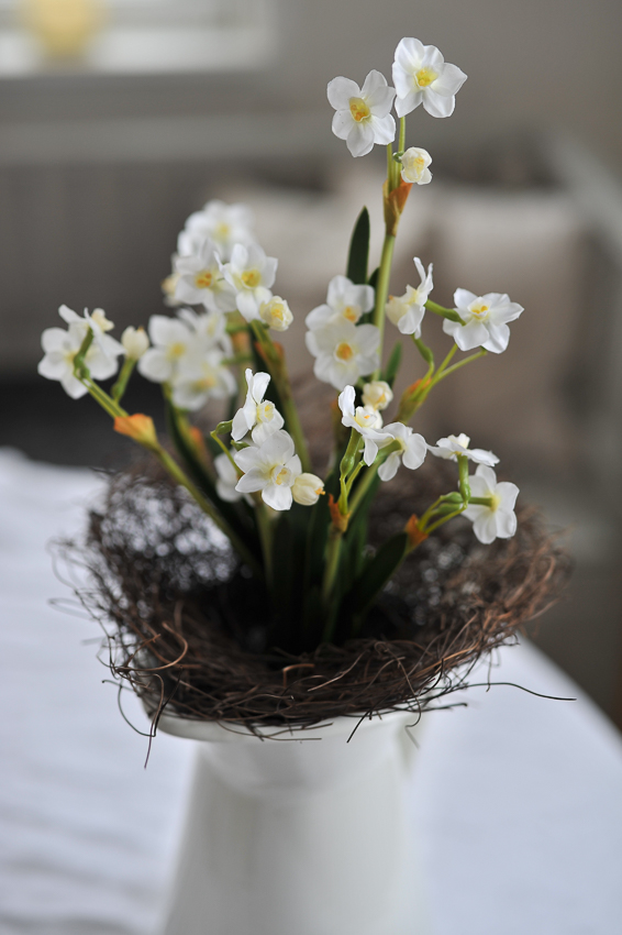 Narciss - 35 cm - 3