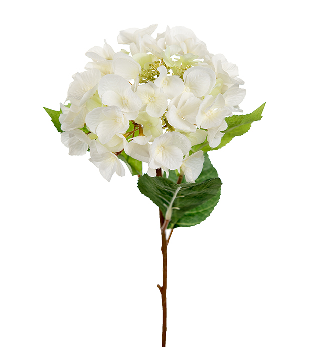 Hydrangea - White - 45 cm
