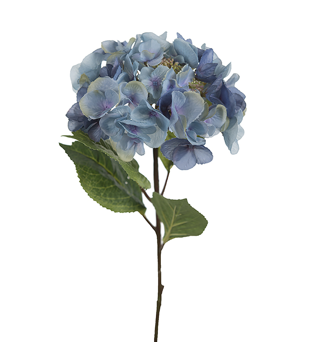 Hydrangea - 45 cm