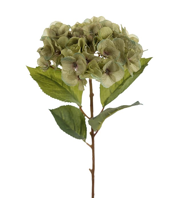 Hydrangea - 45 cm - 2