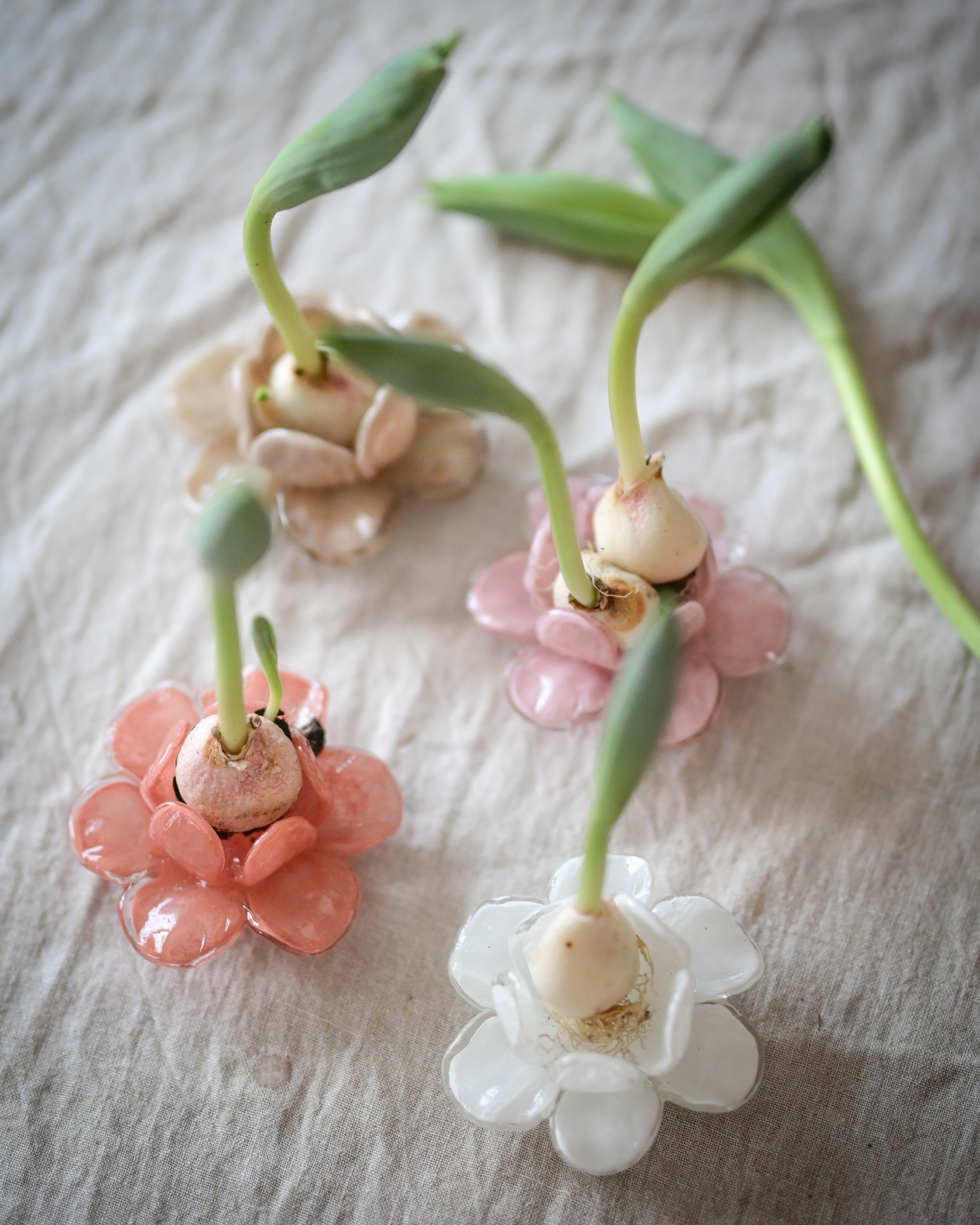 Flora - Flower - Decoration - Beige - Glass - Ø11 x 5 cm - 2