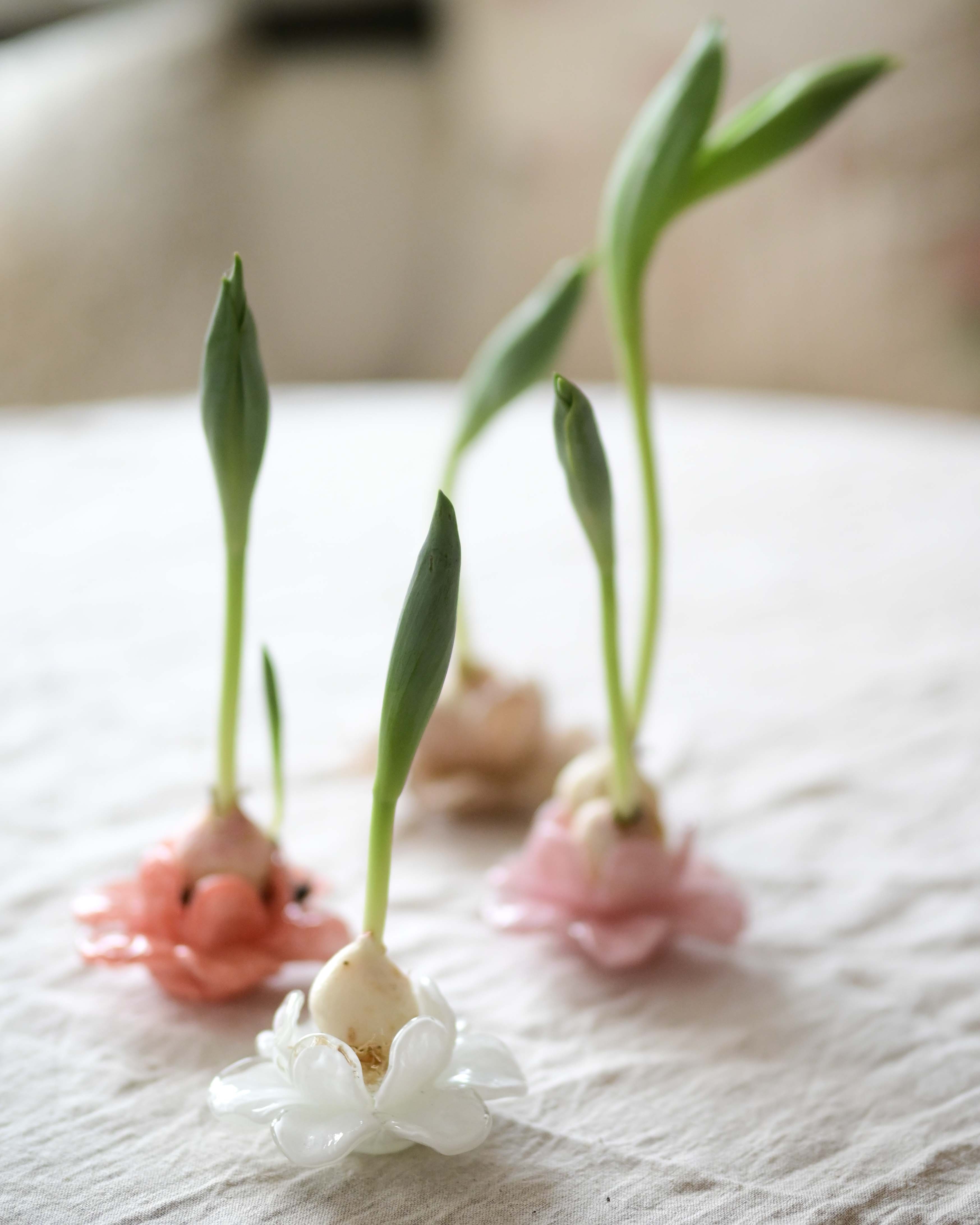 Flora - Flower - Decoration - Beige - Glass - Ø11 x 5 cm - 4