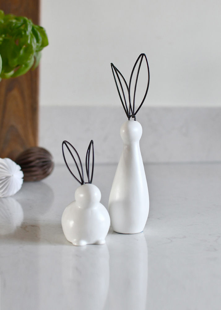 Julia - Large white rabbit - 2