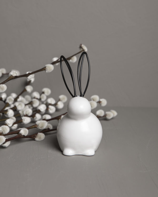 White small rabbit - 3