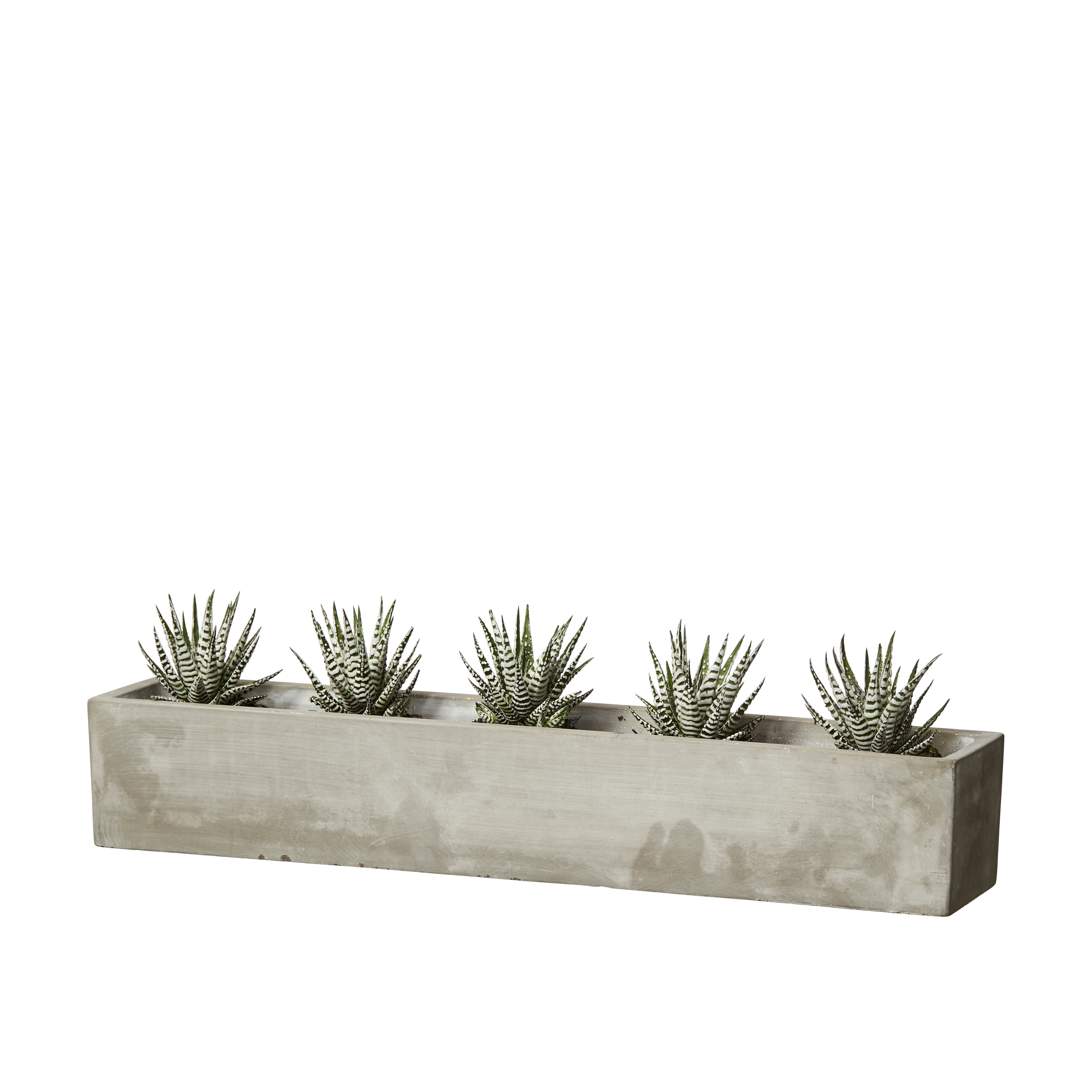 Pot - Concrete - Cement - 59x10x8 cm - 3