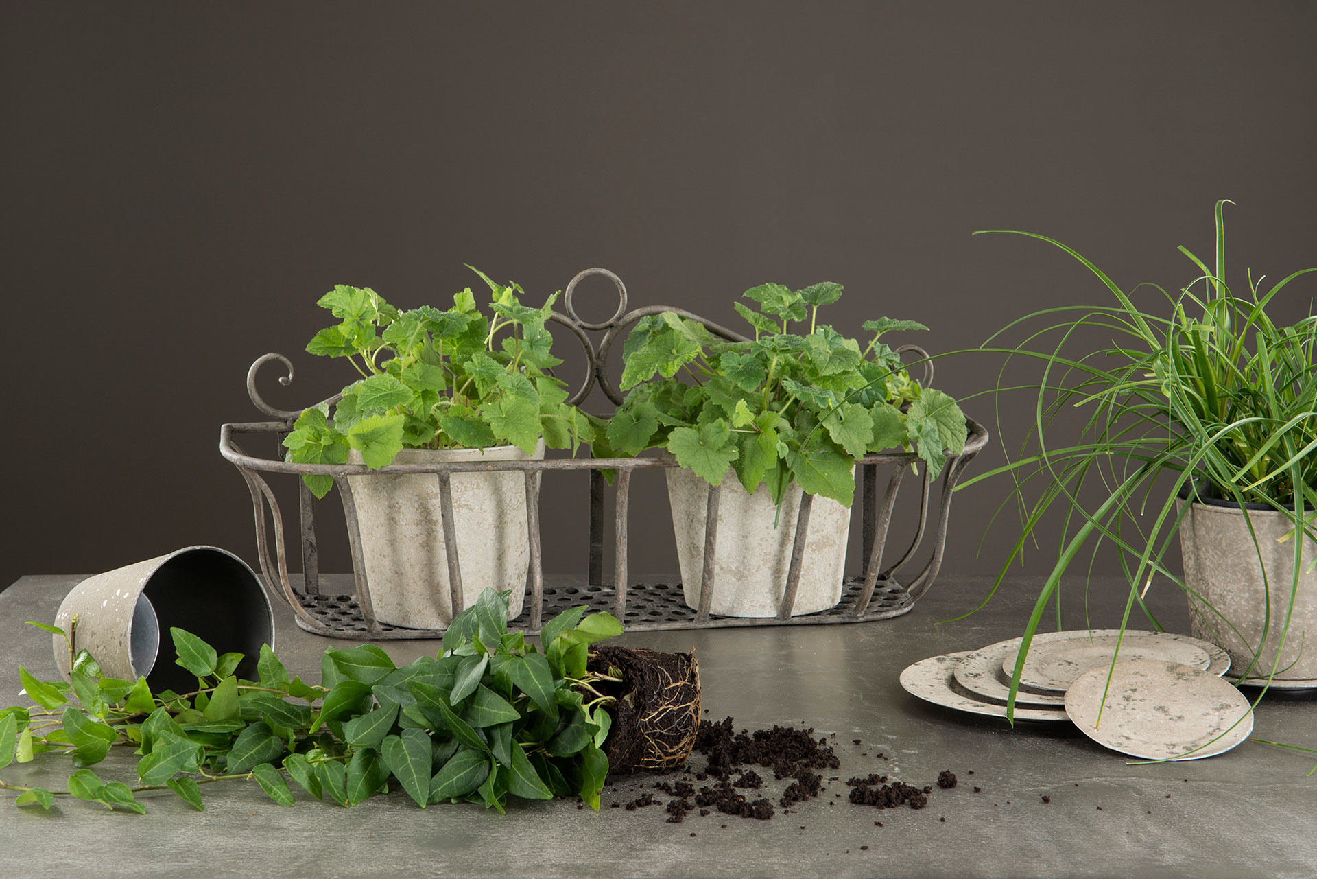 Blomlådor - Väggkrukor - 3-pack - Grå - 4