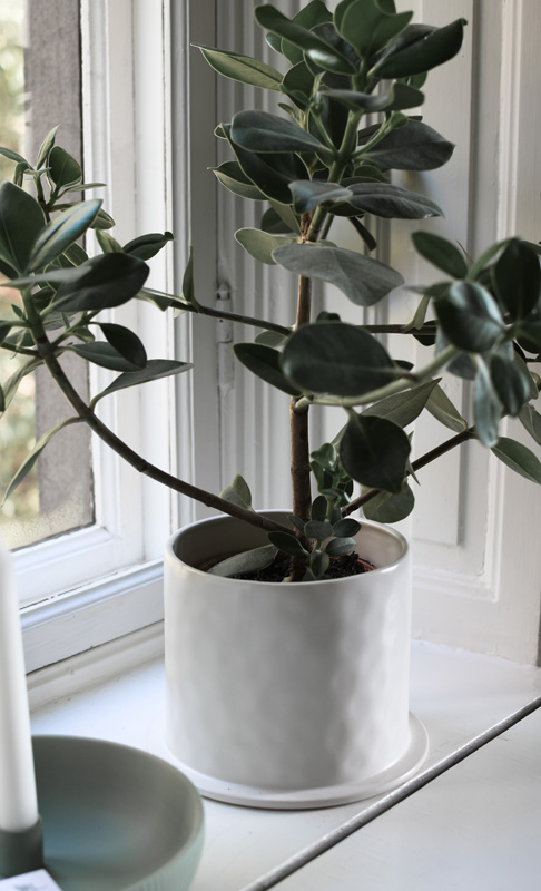 Large white pot - 15x15x17 cm - 2