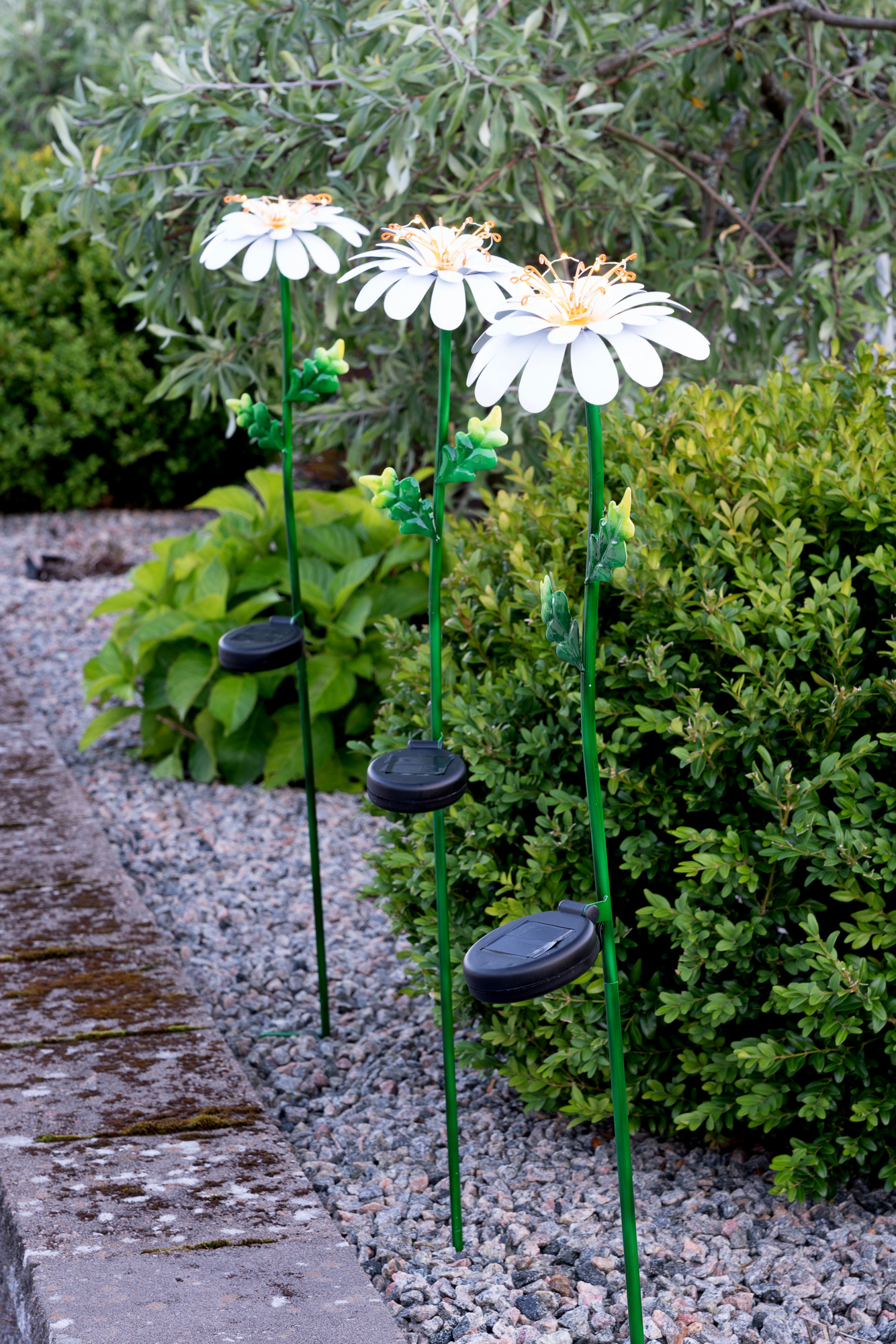 Solcellsdekoration Daisy - Solcellsbelysning - 1 styck - 3