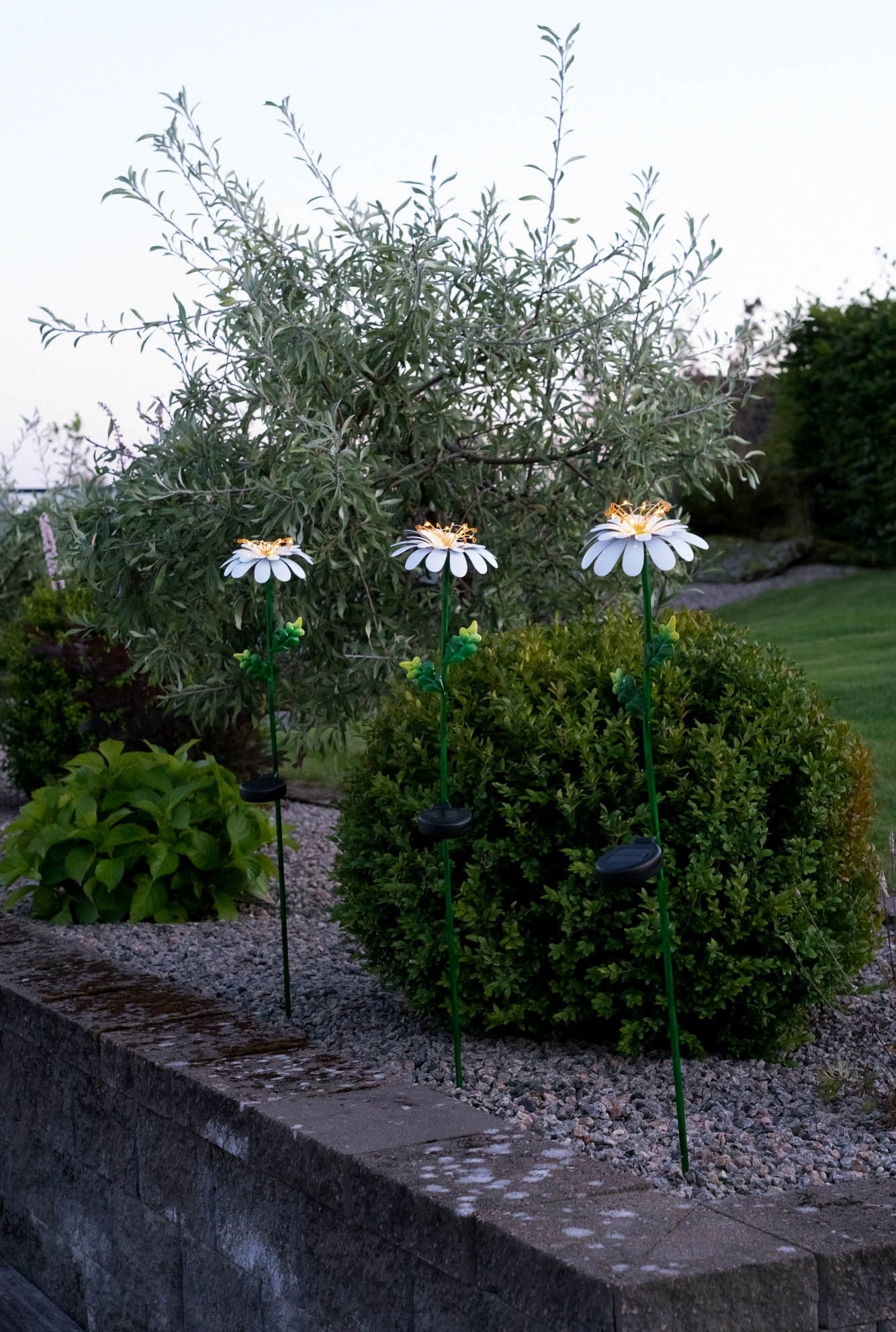 Solcellsdekoration Daisy - Solcellsbelysning - 1 styck - 4