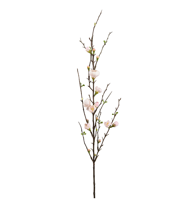 Äppelblom - Rosa - 90 cm - 2