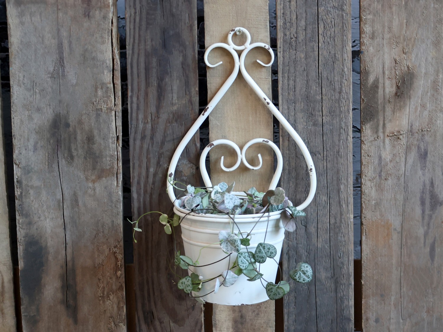 Kruka för vägg med dekor - Väggkruka - H34/L20/B17 cm - 2