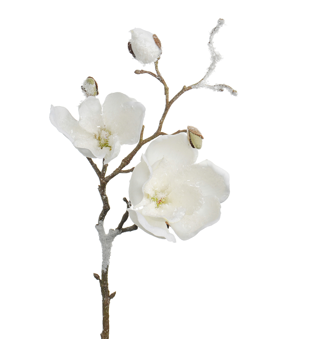 Magnolia with ice 50 cm - 2