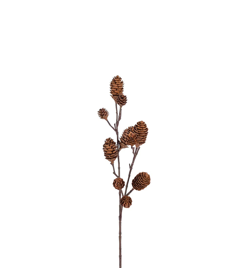 Kvist med kottar 70 cm