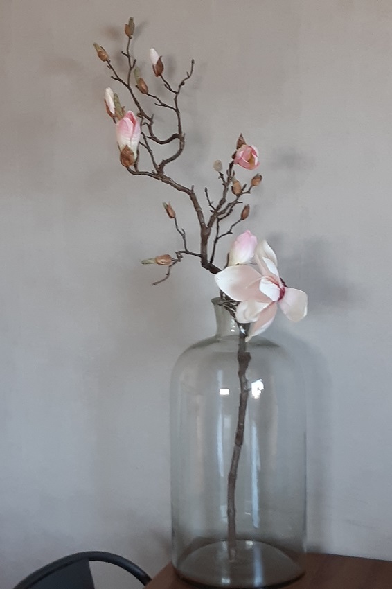 Magnolia Kvist Rosa 135 cm  - 2