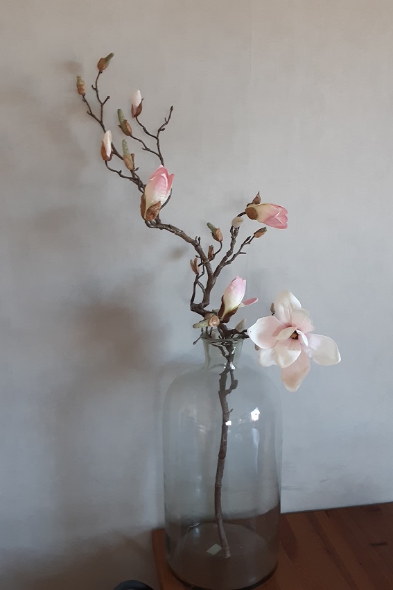 Magnolia Kvist Rosa 135 cm  - 4