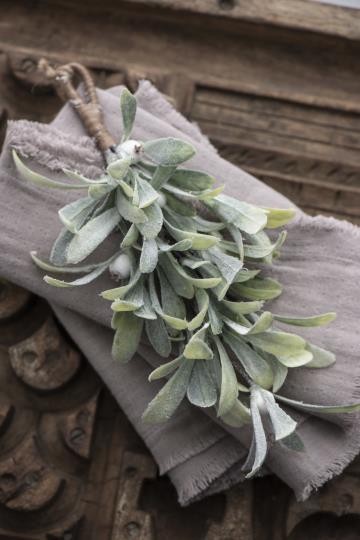 Mistel med frost - 33 cm - 2