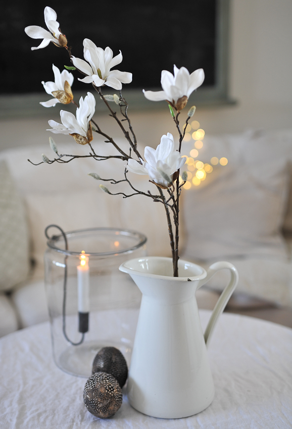 Magnolia - Vit - 50 cm - 3