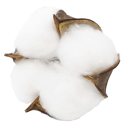 Bomullskvist - Kvist med bomull - 80 cm - 5