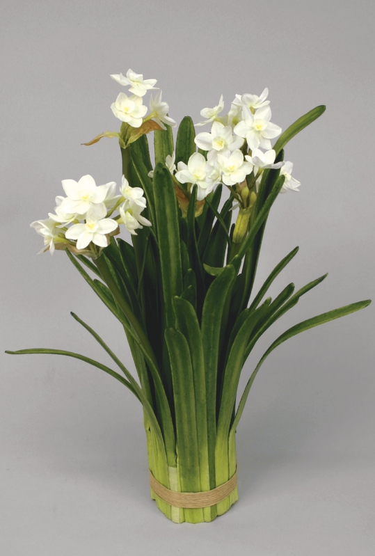 Narciss - Narcisser - Bukett - Bunt - Creme - 60 cm - 2